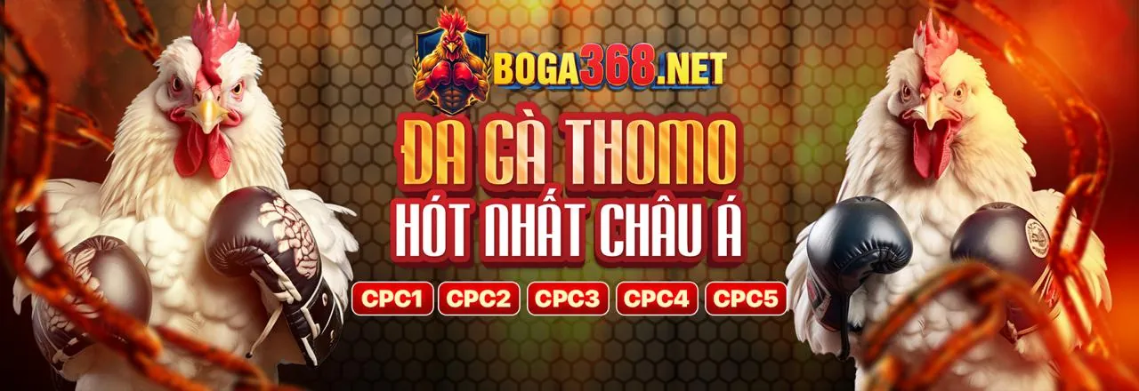 Các phương thức thanh toán an toàn tại betvnd chính thức
