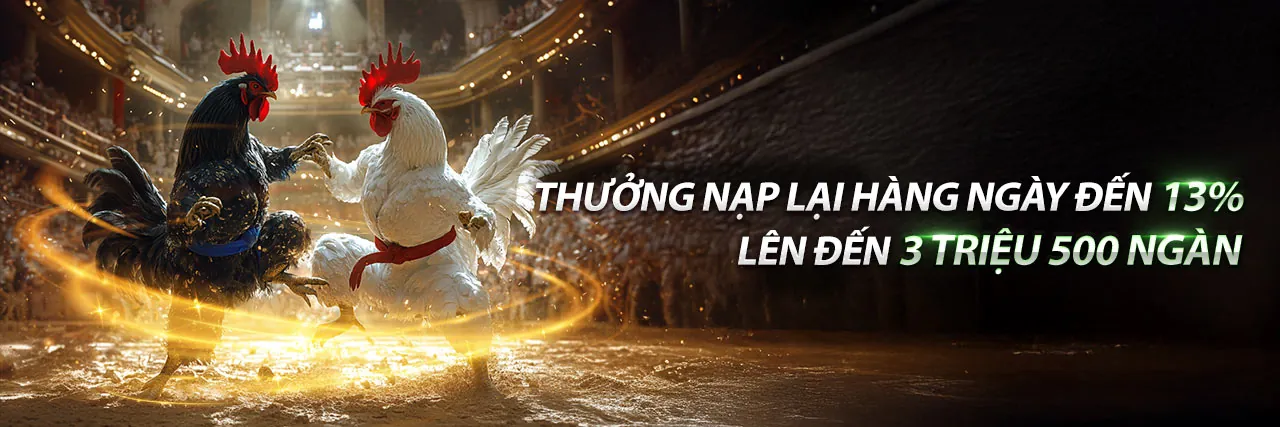 Hình ảnh tổng quan về betvnd chính thức, cá cược thể thao và sòng bạc trực tuyến